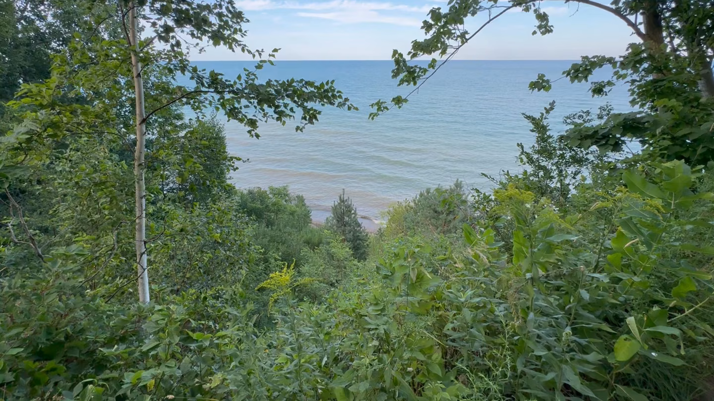 Lake Michigan through the trees at Grant Park, South Milwaukee.
